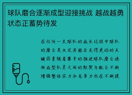 球队磨合逐渐成型迎接挑战 越战越勇状态正蓄势待发